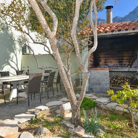 Villa Jelena Makarska Exterior photo